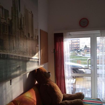 Apartament Przy Parku Noclegi ปวอตสก์ ภายนอก รูปภาพ
